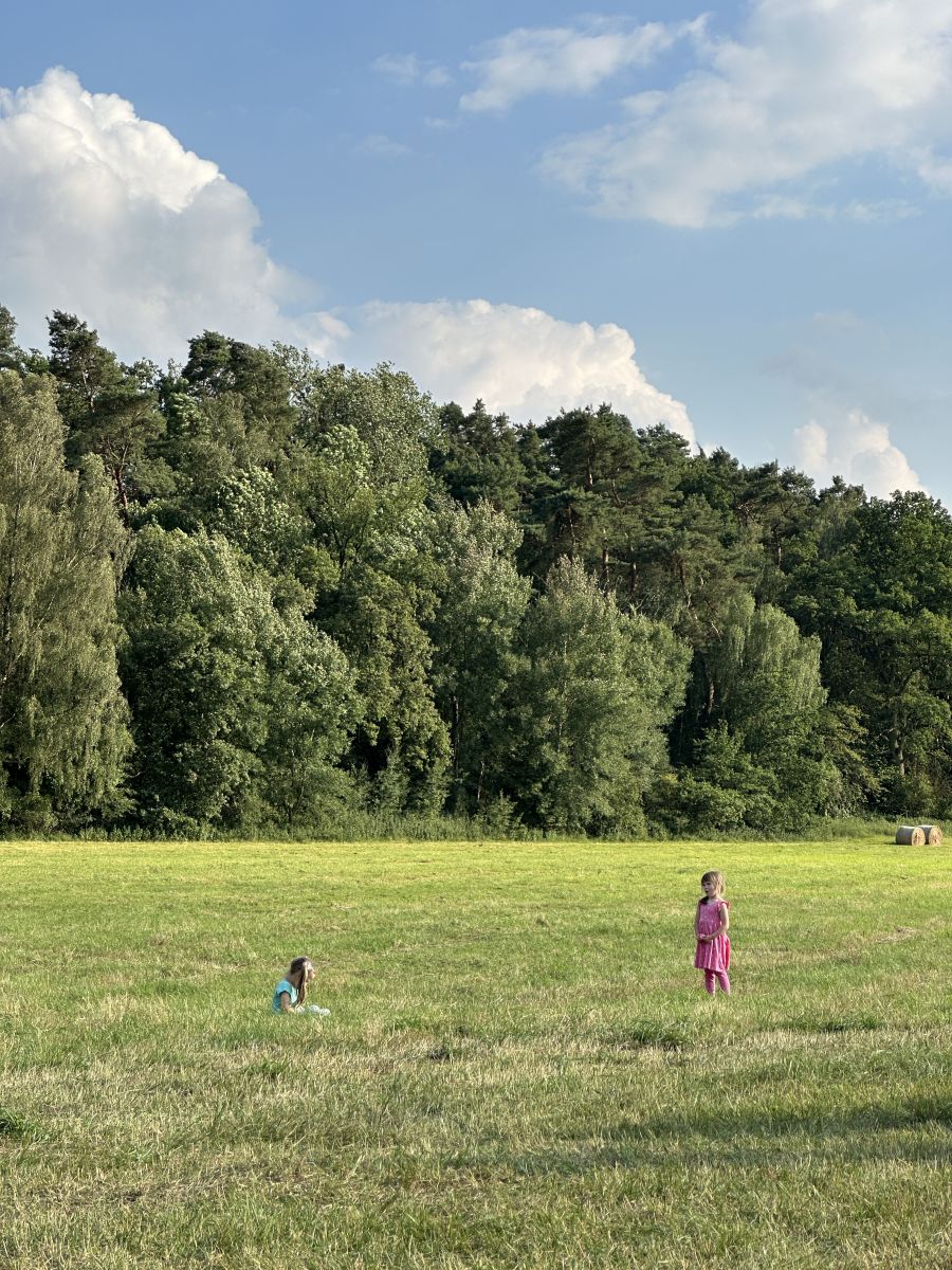 Foto: Barbara H. Klemm